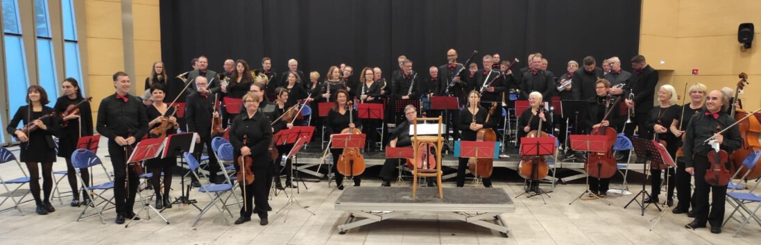 orchestre l'Ephémère de Musedis orchestre l'Ephémère de Musedis